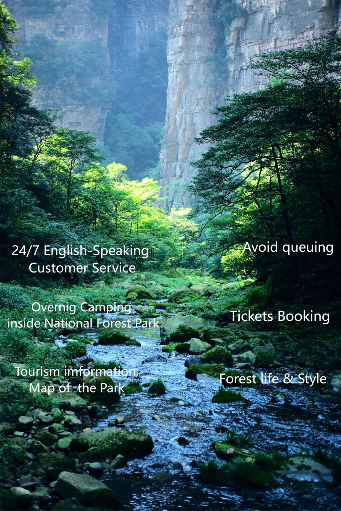 Zhangjiajie National Forest Park Camping Extérieur photo