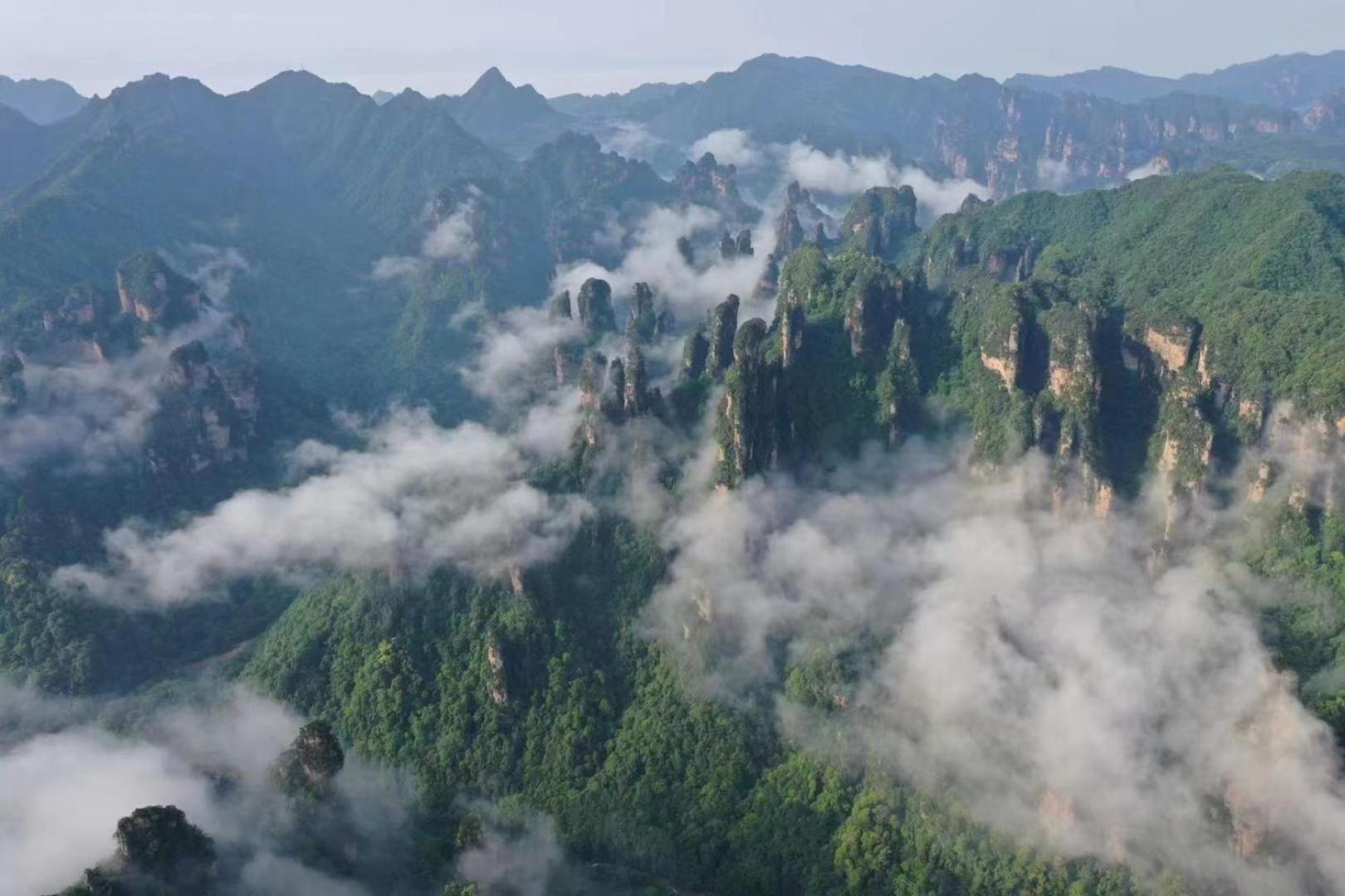 Zhangjiajie National Forest Park Camping Extérieur photo